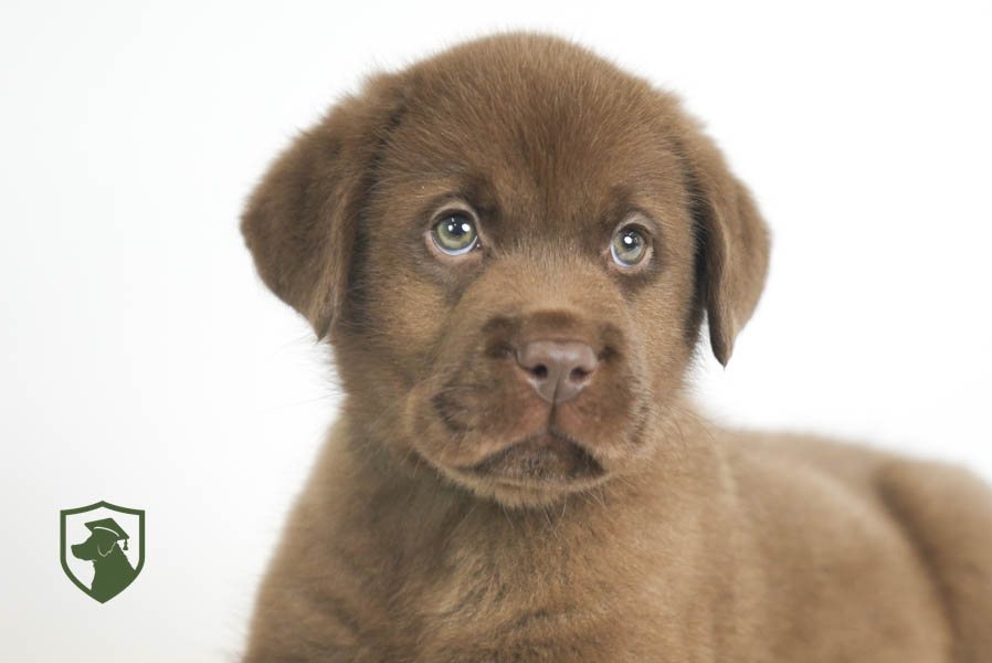 Reece_Sep25_Brown_11.19.25-02381
