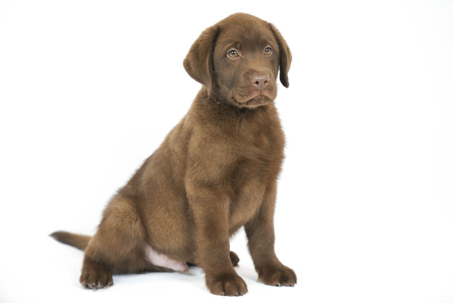 Reece_Sep25_Brown_12.31.25-04198