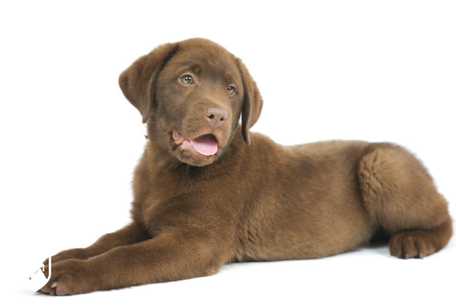 Reece_Sep25_Brown_12.31.25-04232