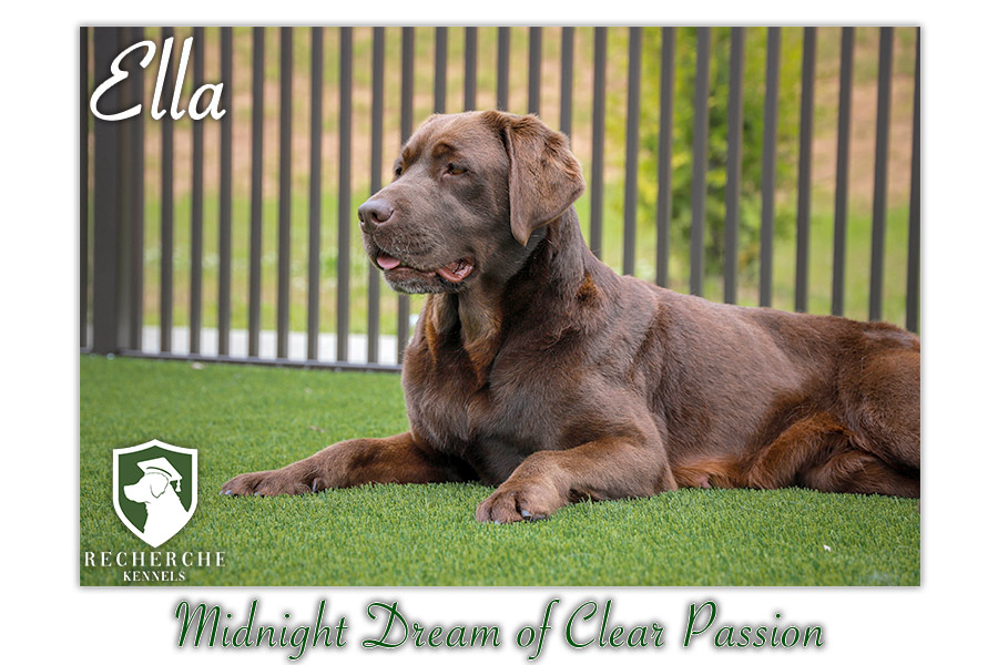 2Ella