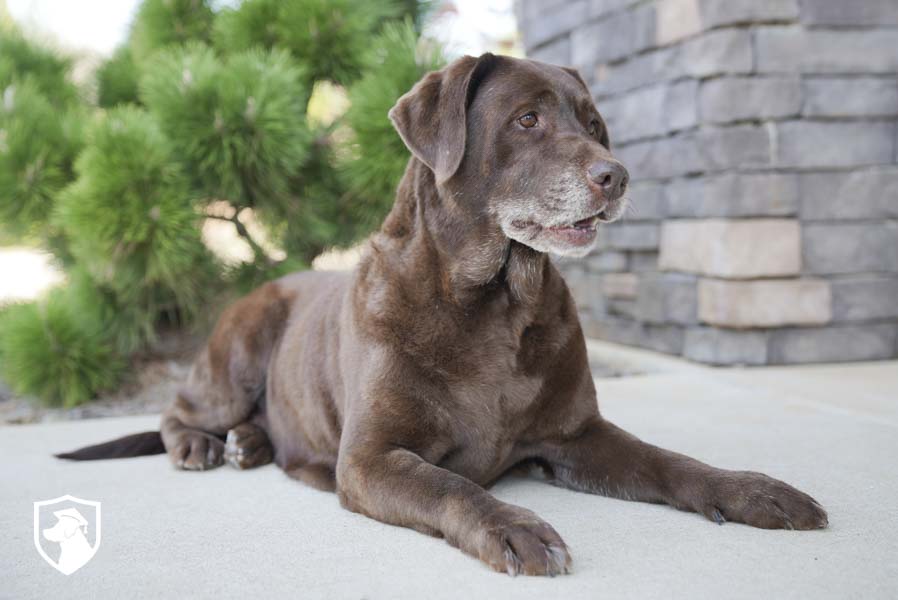Ella_Sep17_4.1.26-00149