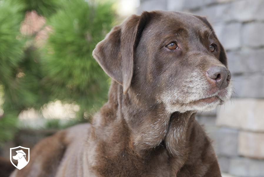 Ella_Sep17_4.1.26-00156