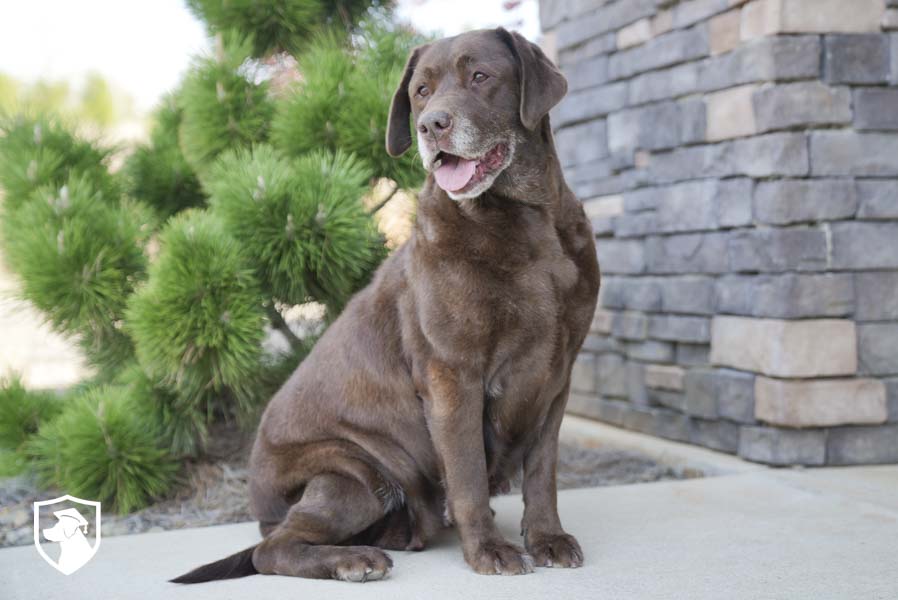 Ella_Sep17_4.1.26-00168