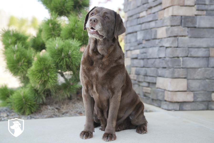 Ella_Sep17_4.1.26-00211