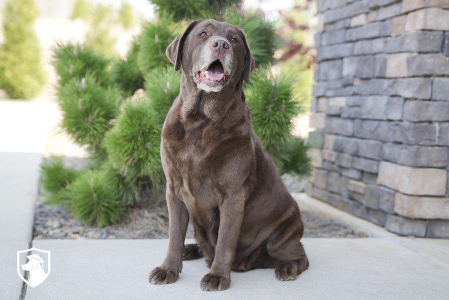 Ella_Sep17_4.1.26-00235