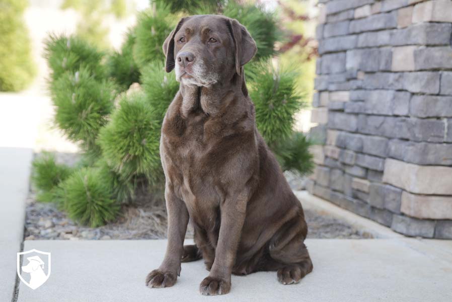 Ella_Sep17_4.1.26-00241