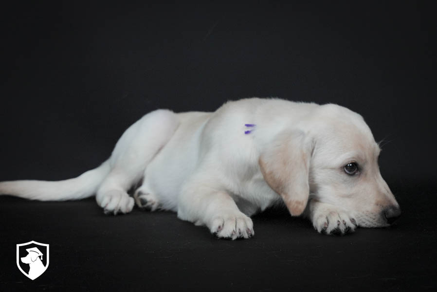 Cassie_Apr26_Purple_7.22.26-08464